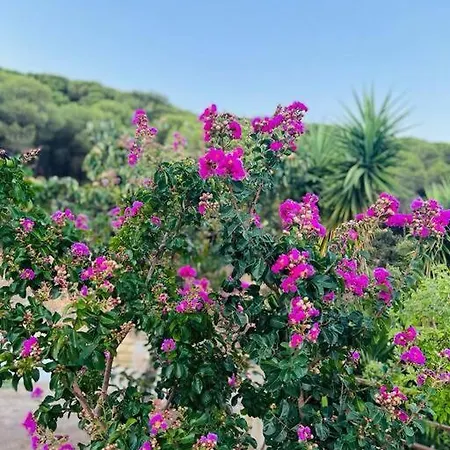 Casa Brian Del Tietar