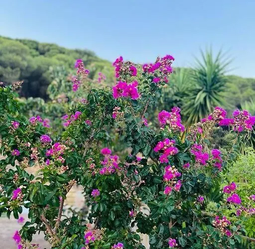 Casa Brian Del Tietar